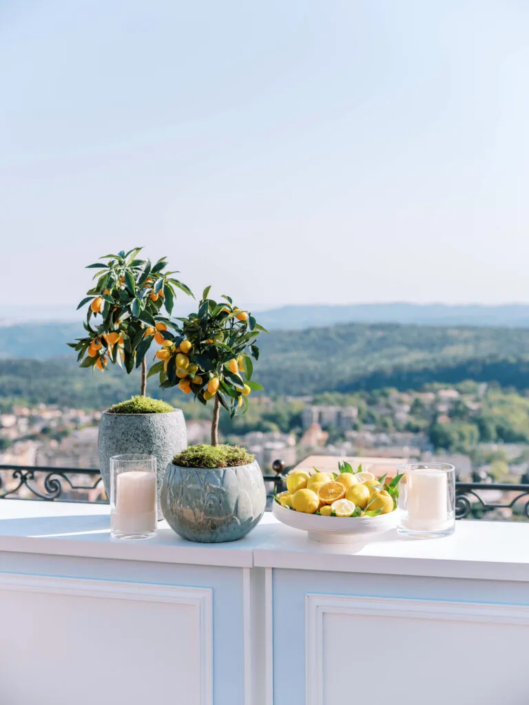 Château Saint-Martin & Spa | Luxury Wedding Venue in France