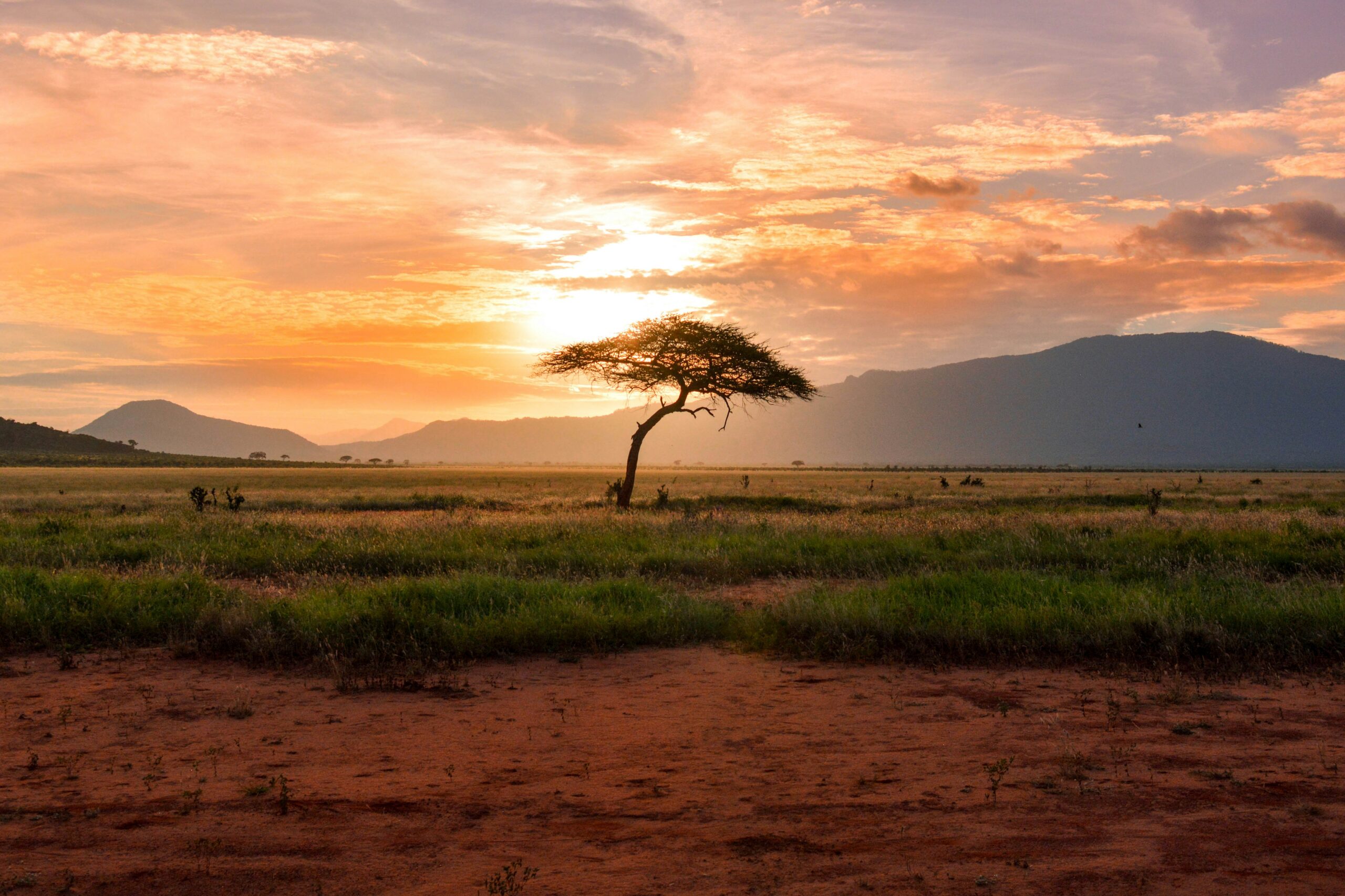 Africa sunset