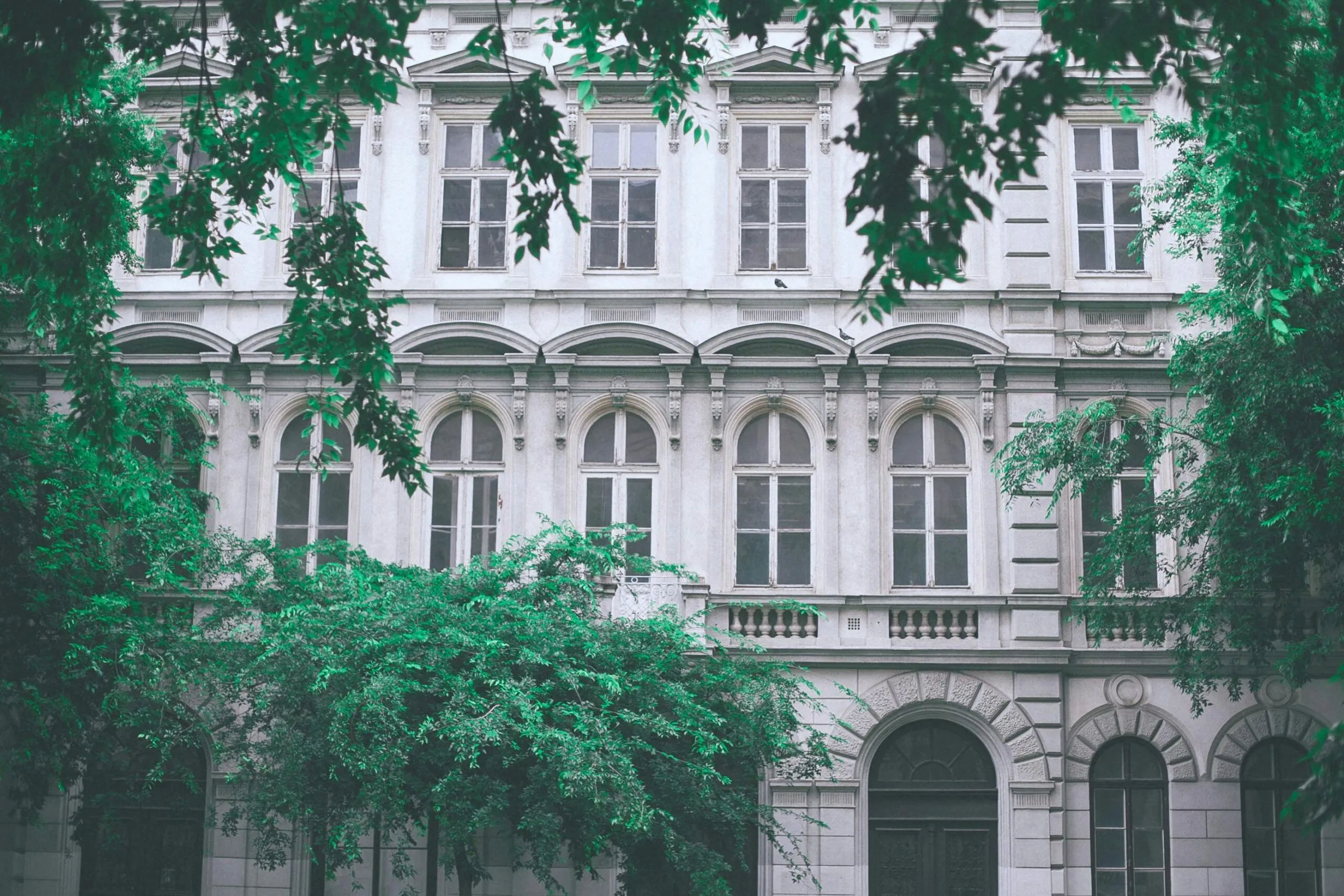 Sustainability Beyond Weddings