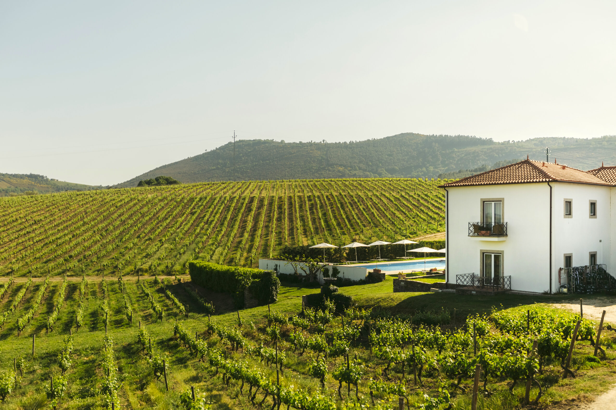 The Manor House Celeirós, luxury wedding venue in Portugal