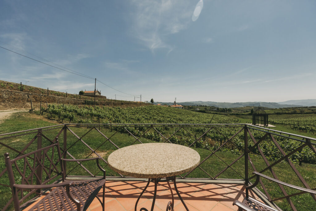Vineyard at The Manor House Celeirós, luxury wedding venue in Portugal