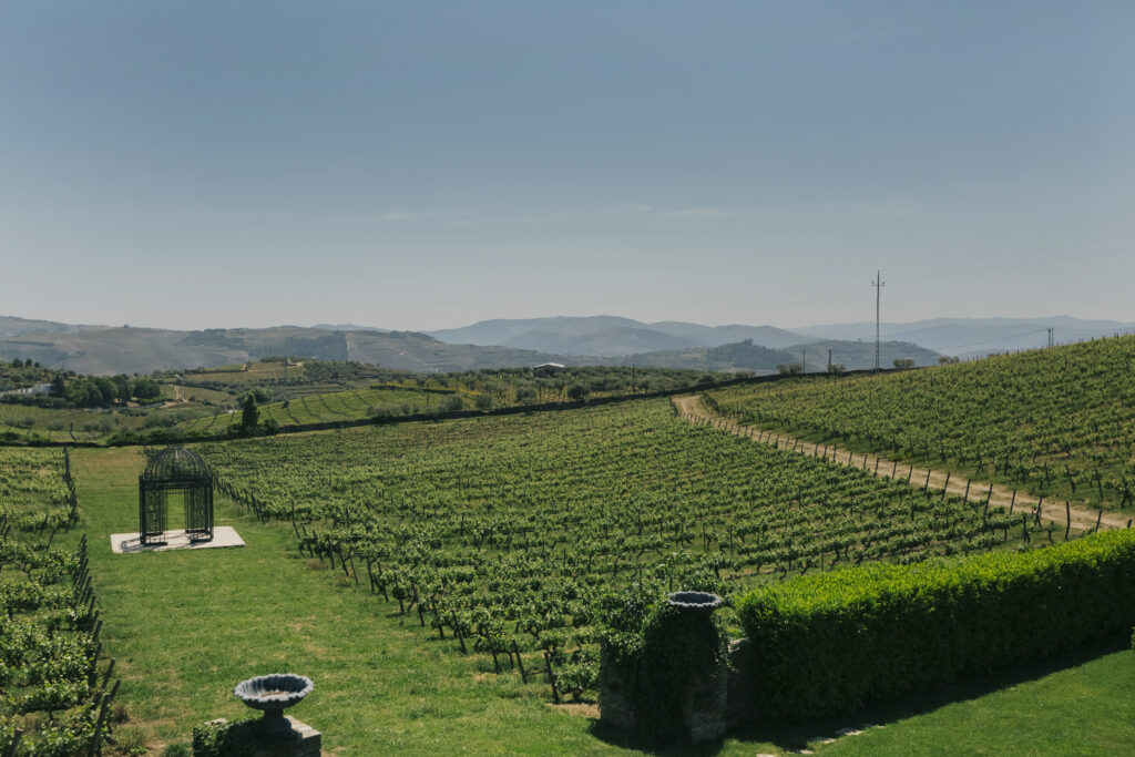 Vineyards at The Manor House Celeirós, luxury wedding venue in Portugal
