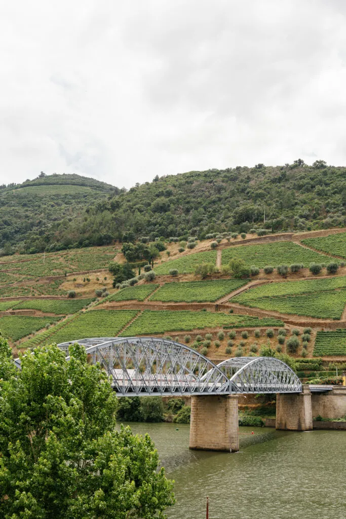 Vintage House Bridge View