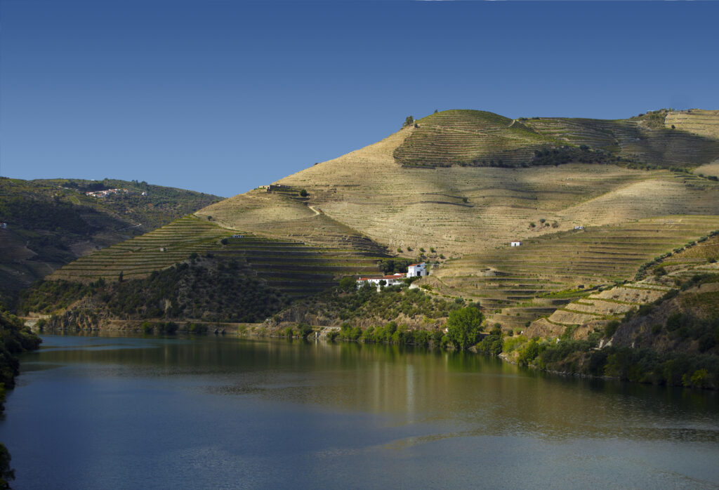 Vintage House Douro View