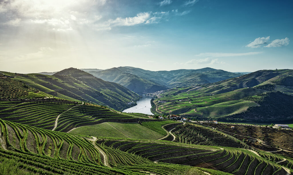 Vintage House Drone View Douro Valley