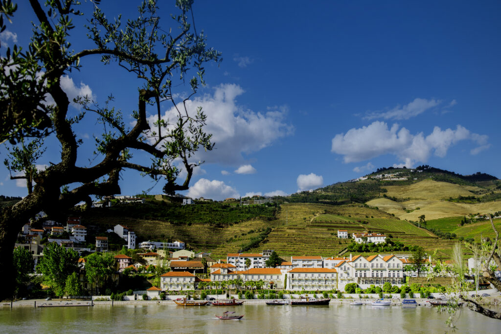 Vintage House View From the lake