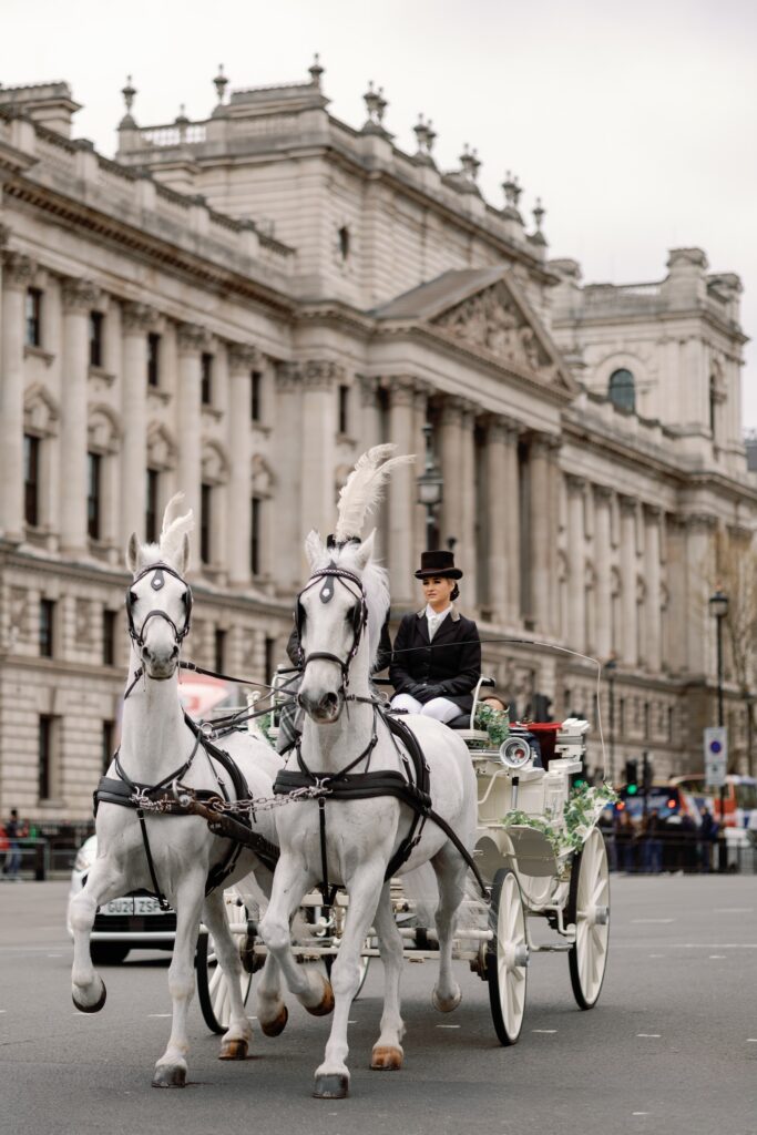 White horse-drawn wedding carriage travelling through Westminster, London
