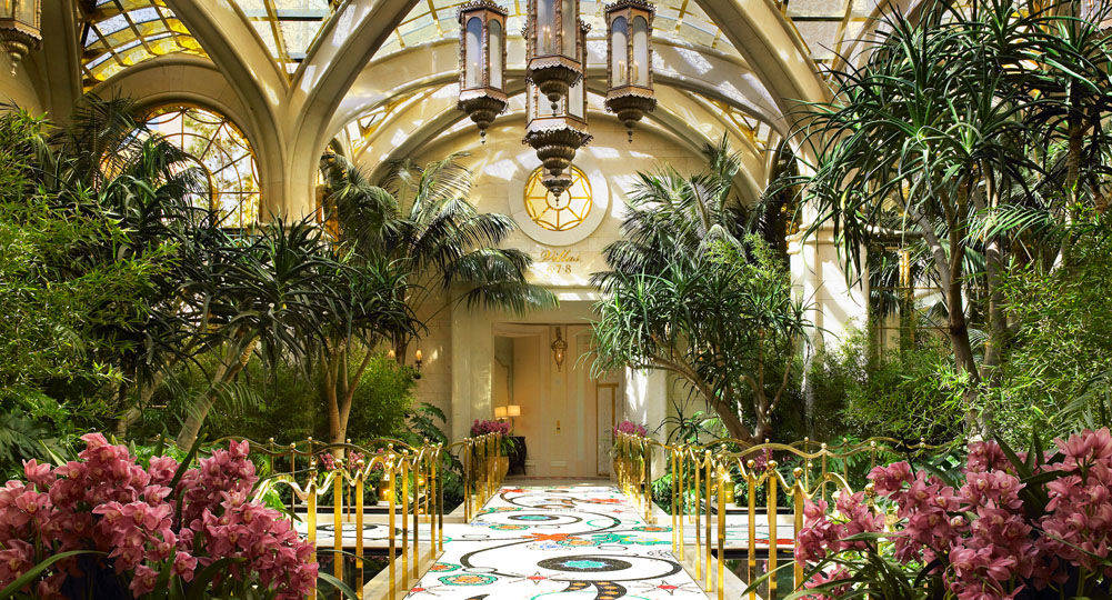 Lavish garden hallway greenhouse with beautiful nature