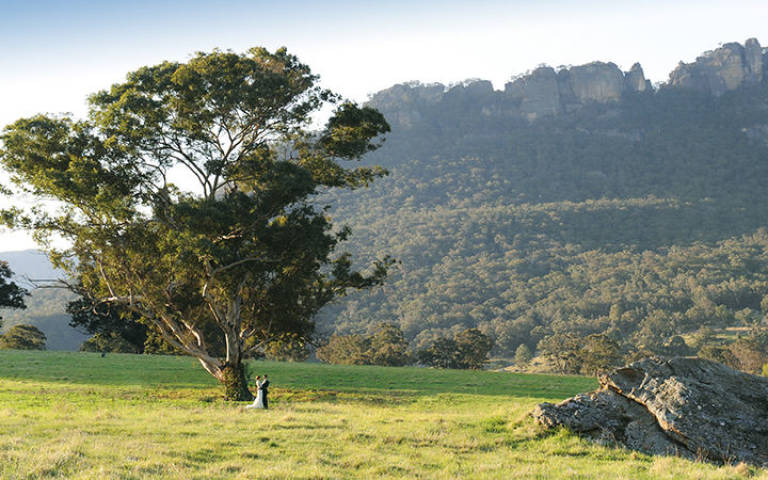 Beautiful view of fields and distant mountains